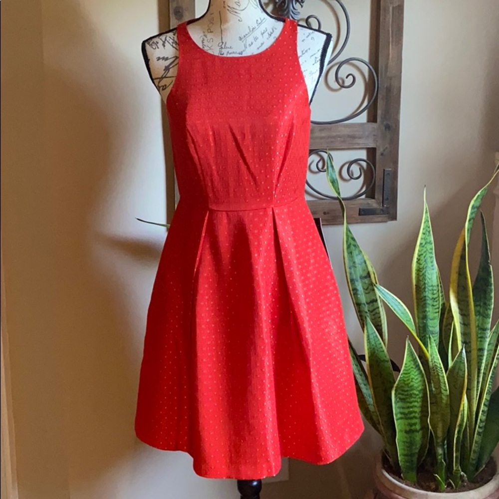 The Limited Dress
